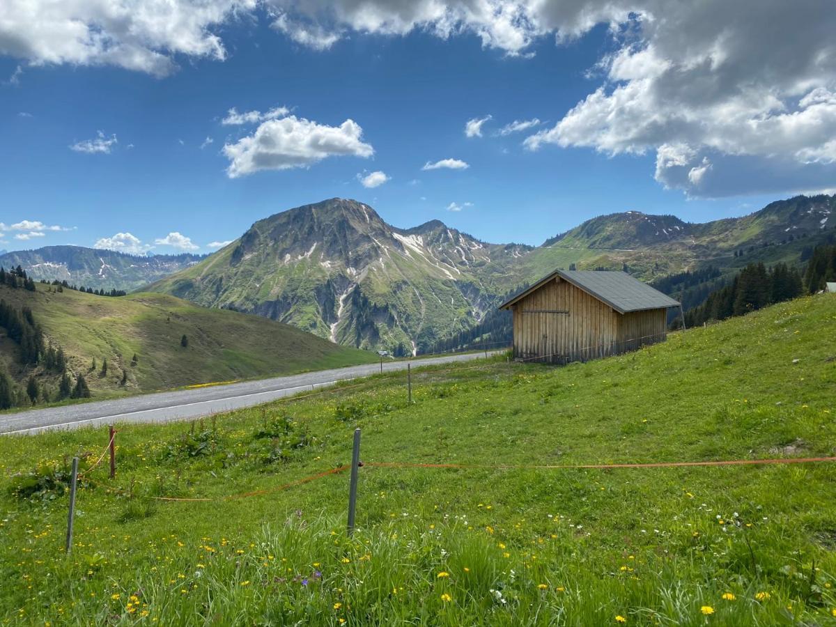 Apartment "Johann" Aktivurlaub Im Bregenzerwald Мелау Екстериор снимка