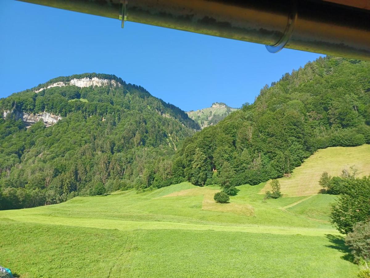 Apartment "Johann" Aktivurlaub Im Bregenzerwald Мелау Екстериор снимка